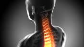 X-ray like image highlighting the spinal cord
