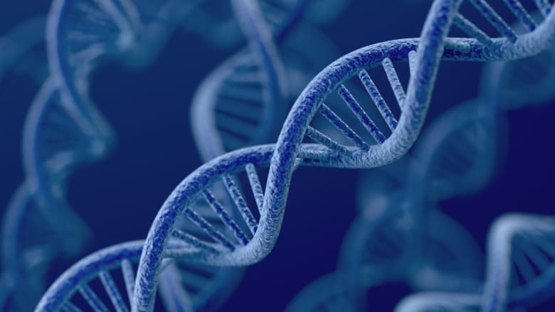 An image of a DNA strand.