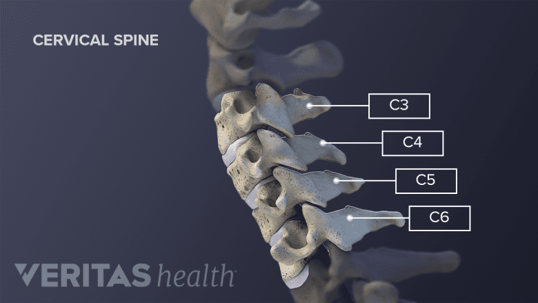 Lateral view of cervical spine showing