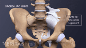 Anterior view of the pelvis highlighting the Iliolumbar ligament, anterior sacroiliac ligament, sacrotuberous ligament, and sacroiliac joint.