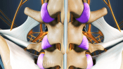 Posterior view of tendons and ligaments in the vertebrae.