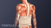 Lumbar back brace