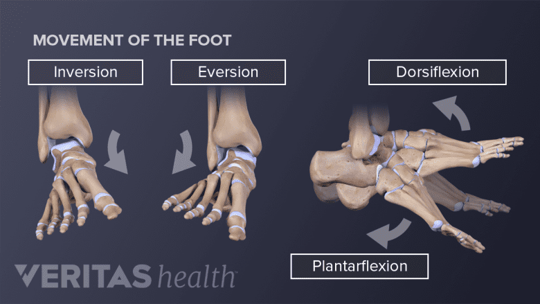 Four different foot movements, including up, down, and sideways.
