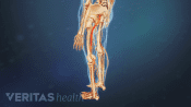 Profile, posterior view of lower body with pain going down left leg.