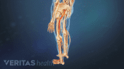 Profile, posterior view of lower body with pain going down left leg.