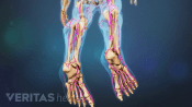 Pain highlighted in the bottom of the foot