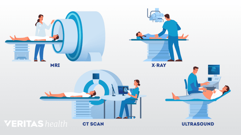 Various imaging techniques.