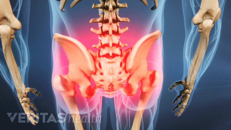 An illustration showing adult pelvis highlighted in red.