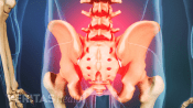 Posterior view of the lumbar spine showing lower back pain.