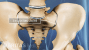 Anterior view of the sacroiliac joint.