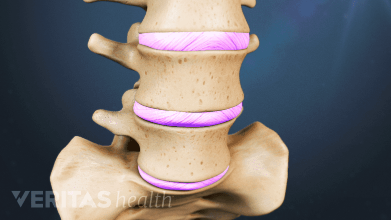 Close-up 3D rendering of the lumbar spine.
