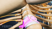 Anterior view of the T12 highlighted in the thoracic spine