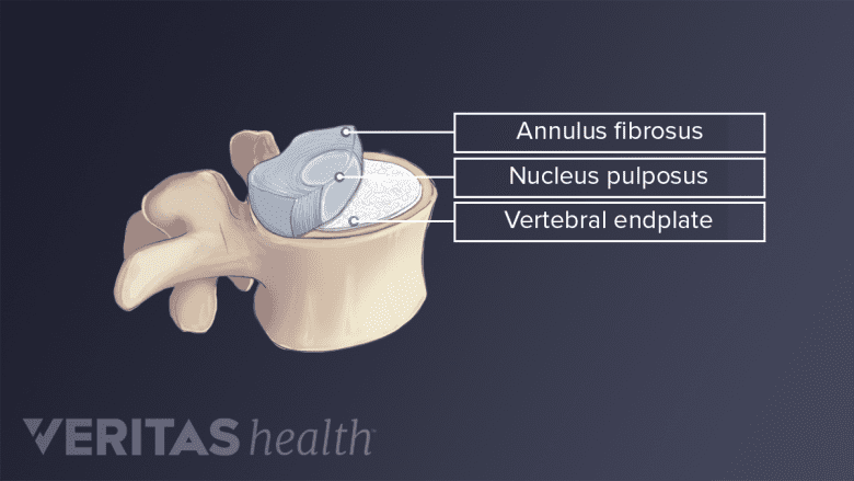 Medical illustration of anatomy of cervical vertebra.